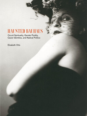 cover image of Haunted Bauhaus